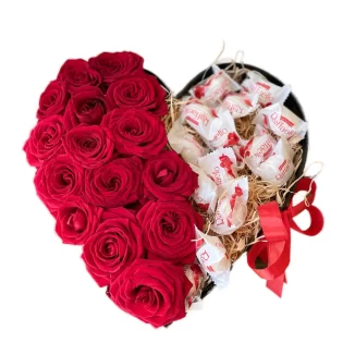 WhatsApp Image at transformed x